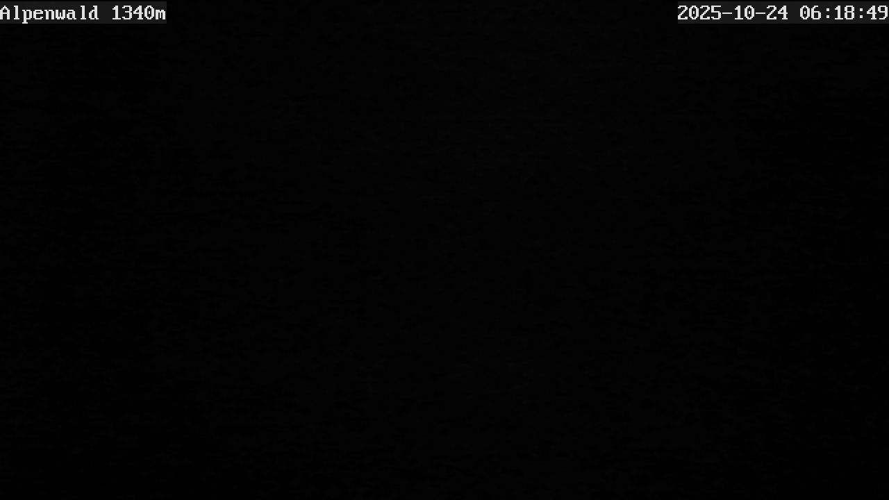 webcam.bild: Gasthof Alpenwald